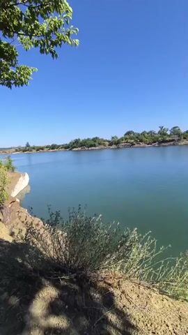 This is a vertical, handheld video filmed outdoors during the daytime under a clear blue sky, suggesting good weather. The camera pans slowly to the right, revealing a wide, calm body of water, likely a lake or a very wide river. The water is a tranquil blue-green color.

The foreground of the video shows a rough, earthy bank covered with dry, light-colored grass and some sparse green vegetation. The bank slopes down towards the water. In the upper left corner, a few green leaves and branches of a tree hang into the frame, providing a bit of shade.

Across the water, the opposite bank is lined with trees and shrubs, creating a natural, undeveloped shoreline. The landscape appears somewhat rolling in the distance, with more trees and greenery visible. The overall impression is one of natural serenity and a peaceful outdoor setting.

No people are visible in the video. The activity, if any, is simply the natural movement of the water and the sway of the grass in a gentle breeze. The time of day appears to be late morning or early afternoon, given the bright sunlight and clear sky. There is no visible text in the video. The location context provided is Almazne, Ukraine.