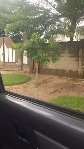 The video shows a view from inside a car, looking out the passenger window. The camera pans to the left, revealing a gated entrance to a property. The gate is large and metallic, with a white pattern against a darker background. To the left of the gate, there is a small circular patch of green grass. Beyond the gate and grass, a rough dirt path leads towards a building with a corrugated metal roof. The building appears to be constructed of concrete blocks. Further to the left, another section of a wall is visible, with what looks like a sloped, metallic roof. Trees and foliage are present in the background, suggesting an outdoor setting. The overall impression is a somewhat unkempt, residential or commercial property entrance. The car's interior is visible in the foreground, with a dark door panel and part of the car's frame. The lighting suggests it is daytime, possibly overcast.