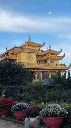 Traditional yellow building with gardens documented in Da Lat
