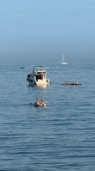 Calm afternoon on the water near Estepona's coastline