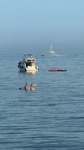The video shows a wide shot of a calm blue ocean on a clear day. In the foreground, two people are on a paddleboard, with one person paddling. To the right and slightly further back, a group of people are in two kayaks. In the middle ground, a white motorboat is stationary. In the background, a sailboat is visible in the distance. The water is gently rippled. The sky is a clear, pale blue.