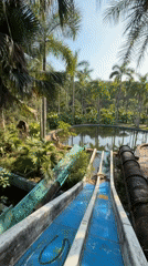 Abandoned water park documented in Vietnam's Thủy Xuân Ward