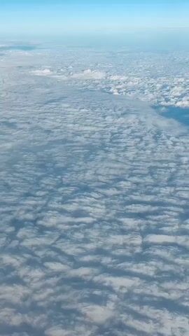 The video shows an aerial view of a vast expanse of clouds stretching to the horizon under a clear blue sky. The clouds appear dense and are spread out in a textured pattern, suggesting they are at a high altitude. The lighting indicates it might be daytime, possibly morning or afternoon, with soft sunlight illuminating the cloudscape. There are no discernible people, objects, or specific actions taking place in the video, as the focus is solely on the natural phenomenon of the clouds and sky.