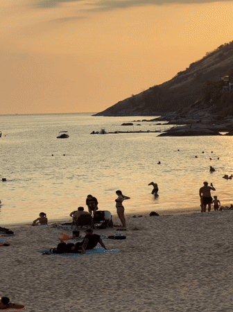 Ball python spotted on Rawai beach in Thailand