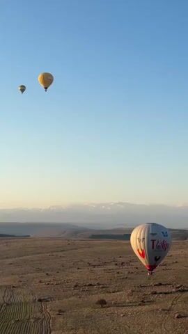 The video captures a serene hot air balloon flight over a vast, arid landscape under a clear blue sky, likely during sunrise or sunset. Three hot air balloons are visible: two smaller, yellow balloons are in the mid-distance, and a larger, white and red balloon is closer in the foreground. This closest balloon features the text "Tulip" with stylized butterflies on its envelope and utilizes its burner, producing a distinct whooshing sound and visible flame. The ground below shows expansive fields with distinct patterns, suggesting agricultural use. In the far background, a majestic range of snow-capped mountains stretches across the horizon. One of the distant yellow balloons has "ROYAL BALLOONS" visible on its side. The scene conveys a sense of peaceful adventure amidst a picturesque natural setting.