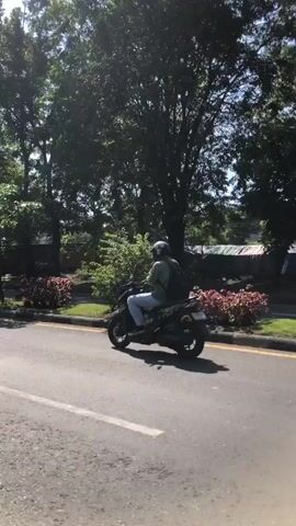 A person wearing a helmet and a backpack is riding a black motorcycle on an asphalt road. The person is wearing a light-colored long-sleeved shirt and light-colored pants. The motorcycle has a visible exhaust pipe and a rear tire. The road has a yellow line on the right side. In the background, there are trees with green leaves, bushes with red and green foliage, and some buildings with white and red roofs. The sun is shining, casting shadows on the road. The scene appears to be outdoors, possibly in a park or a suburban area.