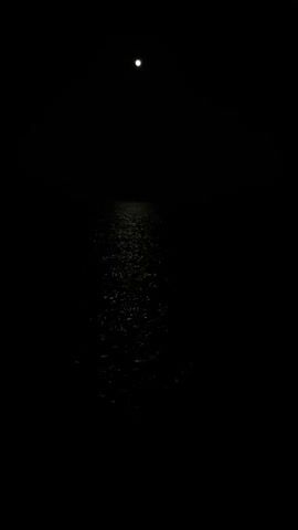 A full moon shines in a black sky above a dark body of water. The moonlight reflects on the choppy surface of the water, creating a shimmering path from the horizon to the foreground. The scene is still and quiet, with no other objects or people visible. The environment appears to be a natural setting, possibly a lake or the ocean, at night.