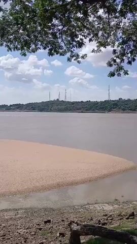 The video captures a wide shot of a river landscape under a bright, partly cloudy sky.  In the foreground, a sandy beach stretches out into the river, meeting the water's edge. The beach is bordered by rocky and grassy terrain, with a few tree branches visible overhead. Across the river, there's a landmass with trees and tall structures, possibly communication towers, visible in the distance.  Further off, a large suspension bridge spans the river. A small boat is seen on the water near a rocky outcrop. The water is a light brown color. There is some audio with someone saying "chupi chupi chupi".
