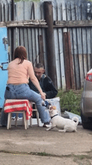 Ordinary moments: dog interaction, resting woman, car maintenance captured