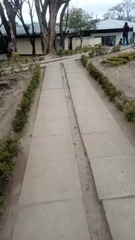 The video shows a pathway made of concrete slabs, lined with small green bushes on either side. The pathway leads towards a building with a white roof and light-colored walls. In the background, several trees with bare branches are visible, along with a cloudy sky. Two people, one wearing a dark long-sleeved shirt and the other a white long-sleeved shirt, are walking away from the camera on the pathway, heading towards the building. The ground around the pathway appears to be sandy and dry.