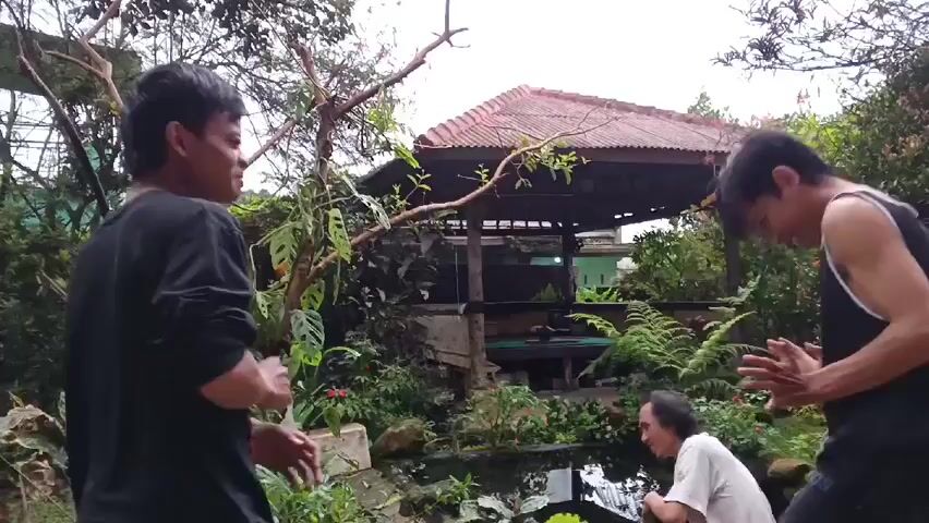 The video shows three men in an outdoor setting that includes a gazebo and a small pond. Two of the men are dressed in black, and one in a white t-shirt. They are near the pond, and appear to be playfully sparring. One of the men in black falls onto the ground laughing, and the man in white walks away. The other man in black watches the man on the ground. The environment is green with plants and trees around the gazebo and pond. The sky is overcast.