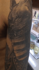 Home pets and ink close-ups from a Mykolaiv evening