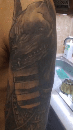 Home pets and ink close-ups from a Mykolaiv evening