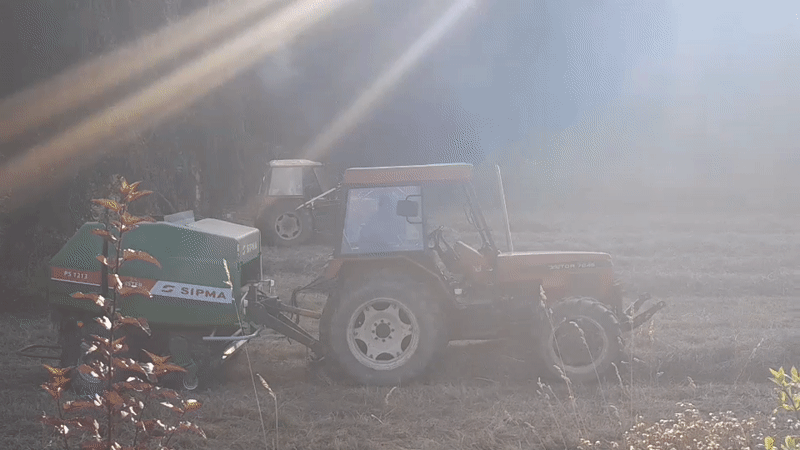 Hay baling and golden-hour pine forest in the Tatra foothills