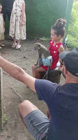 A young girl wearing a red shirt with flower embellishments is holding a monkey. The monkey is wearing a diaper. The girl is looking down at the monkey. Part of a person's arm and shoulder wearing a blue shirt is visible on the right side of the frame. Another person's legs wearing a floral patterned skirt and white shoes are visible on the bottom left. The ground appears to be dirt with some fallen leaves and twigs. There is some greenery visible in the background. The video is vertically oriented.