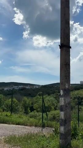 The video depicts a rural landscape with rolling hills and lush green vegetation under a bright blue sky with scattered white clouds. A bird can be seen flying in the distance. A fence runs across the foreground, separating a grassy area from a dirt path. In the background, there are several buildings, some of which appear to be houses, nestled among the trees. A cellular tower is visible on one of the hills. The camera pans slowly from left to right, revealing more of the landscape.