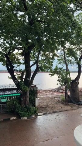 This video shows a view from a balcony or porch overlooking a wide river. There are large trees with green leaves in the foreground. A path runs alongside the river, and beyond that is an area of disturbed earth with piles of dirt, suggesting construction or landscaping. Several tall palm trees are visible along the riverbank, and a small boat can be seen on the water in the distance. The sky appears overcast, with some hints of color suggesting sunrise or sunset. The area appears to be a waterfront location.