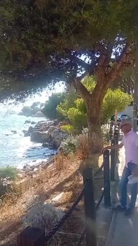 The video shows a coastal scene with a rocky shoreline and the ocean. There are trees and vegetation in the foreground and middle ground. In the distance, there is a beach with several people sunbathing. There is also a building in the background. The water is blue and the sky is clear. The video pans from left to right, showing different views of the coastline. There are no apparent hazards or threats.