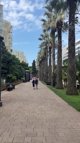 Morning walk through Sochi's palm-lined streets and arcades