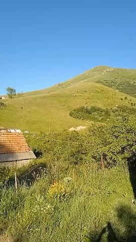 The video shows a view of a grassy hillside under a clear blue sky. In the foreground, there is a small structure with a corrugated roof, partially obscured by foliage. There is also a fence and some tall grass. The hillside is dotted with some rocks and sparse vegetation, and further up the hill, there are scattered trees. The lighting suggests it is daytime, likely late morning or early afternoon, with the sun casting shadows. No people or animals are visible in the frame.