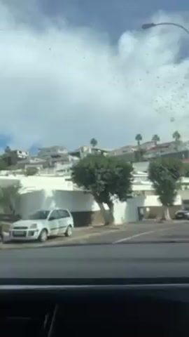 The video shows a view from inside a car looking out onto a street.  The street is lined with trees and parked cars. Across the street, there are several white buildings with flat roofs, appearing to be homes, set on a slight incline. Palm trees are interspersed amongst the buildings. The sky is blue with scattered clouds. There appear to be water droplets on the car's windshield.