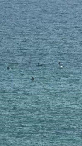 The video shows a wide shot of the ocean with several people engaged in water activities. In the foreground, there is a raft with several individuals on it, some of whom appear to be standing and interacting. In the midground and background, there are several people on paddleboards. The water is choppy with small waves. The sky is overcast or hazy.