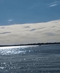 Peaceful riverside afternoon documented in Corrientes, Argentina
