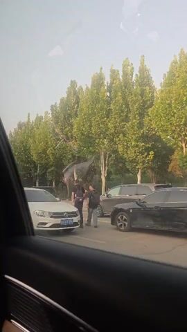 A short video taken from inside a vehicle shows a street scene with trees and parked cars. In the middle ground, two men are standing near a white car. One man is wearing a dark shirt and dark pants, while the other is wearing a dark shirt and light-colored pants. They appear to be interacting. A black car is parked behind the white car, and a dark grey SUV is to the right of the white car. The trees lining the street are full of green leaves, suggesting it is likely spring or summer. The sky is overcast.