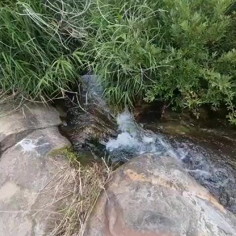 The video shows a close-up, high-angle view of a small, shallow stream flowing over rocks. Lush green vegetation lines the banks of the stream. The water is clear and appears to be moving briskly over the uneven terrain. The rocks are varied in size and color, with some smooth and others rough. The sunlight creates dappled patterns on the water and rocks, suggesting it is daytime. There are no people or animals visible in the video. The scene is natural and peaceful.