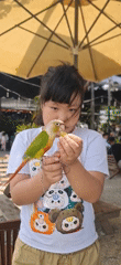 Children, parrots and cats captured in morning Đà Nẵng scenes
