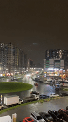 Urban nighttime scenes and indoor pet activity captured simultaneously