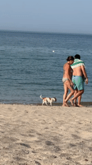 Beach visitors enjoy coastal leisure time in Al Fiqait