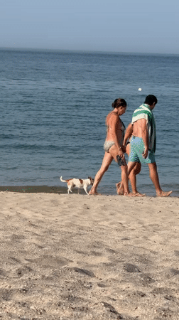 Beach visitors enjoy coastal leisure time in Al Fiqait