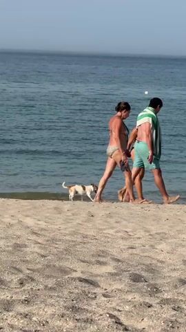 The video captures a serene beach scene featuring a woman, a man, and a small dog walking along the shoreline. The woman, wearing a patterned two-piece bikini, walks barefoot with her back mostly to the camera. Beside her, a man in light blue swim trunks has a green and white striped towel draped over his right shoulder. Both appear to be strolling casually, enjoying the pleasant weather.

Leading them is a small, short-haired dog, predominantly white with brown patches, which resembles a Jack Russell Terrier. The dog walks slightly ahead, often with its nose close to the wet sand where the gentle waves lap the shore.

The setting is a wide, sandy beach with light golden-brown sand. The ocean is a clear turquoise-blue with calm, small waves. In the middle distance, a white spherical buoy floats on the water. Further out on the horizon, several large cargo or container ships are visible, suggesting a coastal location near a shipping route. The sky is clear, indicating bright daylight. Upbeat instrumental music plays in the background, adding to the relaxed atmosphere.