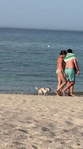 Beach visitors enjoy coastal leisure time in Al Fiqait