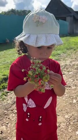 A young child wearing a red shirt with a rabbit design and a light-colored hat with floral embellishments stands outdoors holding a small bunch of wild strawberries. The child appears to be examining the strawberries. The background shows a dirt path, green grass, a turquoise fence, and the corner of a wooden structure. The sky is partly cloudy.