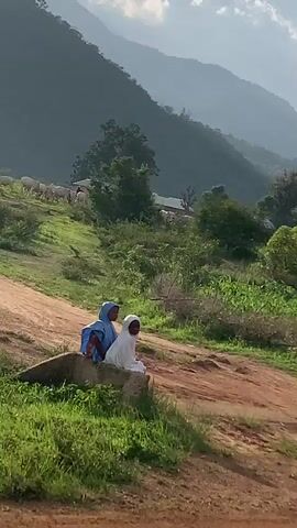 This video shows a rural scene in Nabatum, Nigeria. The foreground is dominated by a dirt road and a field of young corn plants. Beyond the field, there are several trees and some houses, suggesting a small village. In the background, a lush green mountain range stretches across the horizon. The lighting indicates it is either early morning or late afternoon, with soft sunlight casting a gentle glow over the landscape. The weather appears to be clear and pleasant, ideal for farming. The overall mood is peaceful and serene, capturing the tranquility of rural life. There are no visible people or animals, nor any text present in the video. The scene is a snapshot of a typical day in a Nigerian agricultural community.