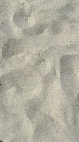 A first-person perspective video shows a person walking on a sandy beach. The viewer's feet, clad in leopard-print pants and a black sandal, are visible in the bottom left corner of the frame. Footprints are imprinted in the light-colored sand. The sunlight creates shadows on the sand.
