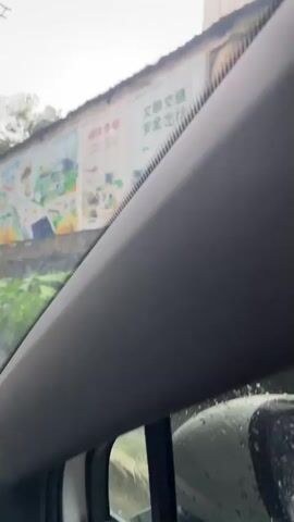 The video captures a view from inside a vehicle, looking out the side window. The window appears to be wet with raindrops, suggesting it is raining. Outside the window, there is lush green foliage, including large-leafed plants, growing along a retaining wall. On top of the wall, there are several large banners with colorful illustrations. These illustrations depict various scenes, including buildings, people, hot air balloons, and what appear to be educational or community-oriented messages in Chinese characters. The view pans slightly, showing more of the banners and the wall. A side mirror of the vehicle is visible in the foreground, also covered in raindrops. The overall environment appears to be an outdoor setting with a mix of nature and human-made structures.