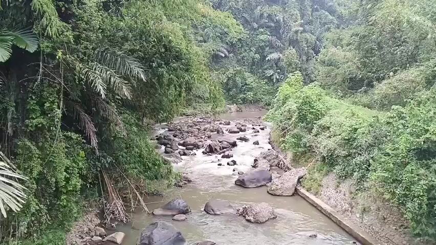 A wide shot shows a fast-flowing river with numerous rocks. The river is surrounded by dense green foliage, including trees, bamboo, and other plants. The water is murky and appears to be shallow in some areas, with rapids forming around the rocks. The riverbanks are steep and covered in vegetation. A concrete channel is visible on the right bank of the river. The overall scene suggests a natural, somewhat untamed environment. There are no people visible in the video.