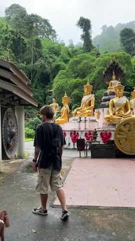 A man in a dark t-shirt, light shorts, and a fanny pack walks from left to right on a wet paved path, accompanied by a small brown and white dog on a harness and leash. To the man's left is a building with a large dark gong partially visible under an overhang. To his right, several large golden Buddha statues are arranged on white tiered platforms with red decorative elements. Some statues wear elaborate crowns, and one features a multi-headed cobra behind it. Lush green, tree-covered hills form the background. The man briefly turns his head to look at the statues as he walks past them.