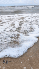 Foamy waves washing over a sandy Vladivostok beach