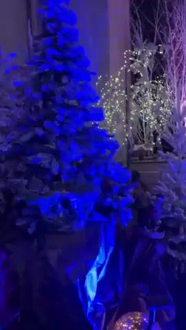 The video shows a festive display of Christmas trees and decorations illuminated by blue and purple lights. There are several artificial trees of varying sizes, some flocked with white and adorned with white lights. Behind the trees, a large canvas displays a wintry scene of a starry sky over a forest. A small elf figurine and a clock-like decoration add to the scene. The lighting casts a vibrant blue hue across the display. The video also captures background sounds, indicating the presence of people talking, though no individuals are clearly visible.