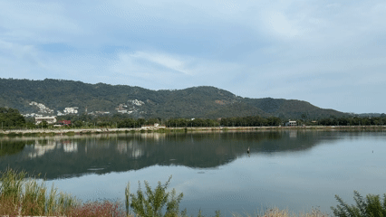 Lakeside landscape documented in Baan Chaweng, Thailand early morning