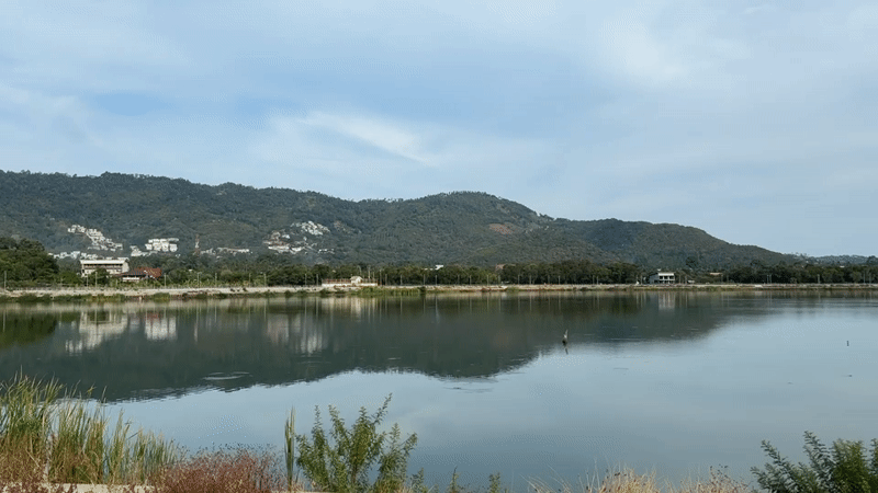 Lakeside landscape documented in Baan Chaweng, Thailand early morning
