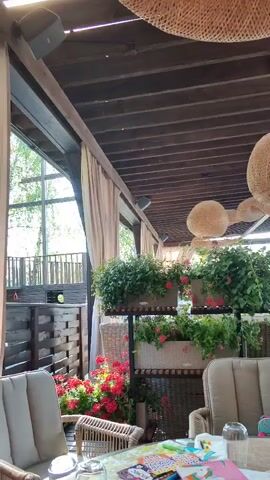 The video captures an indoor-outdoor restaurant or patio area with a wooden ceiling and large windows. Several woven light fixtures of varying shapes are suspended from the ceiling. Potted plants with green foliage and red flowers are arranged on tiered stands in the mid-ground, creating a natural divider. Numerous tables with chairs, some cushioned, are visible throughout the space. In the foreground, a table has a glass and other small items on its surface. A man wearing a light t-shirt and light pants walks from left to right across the mid-ground. Other patrons are seated at tables in the background. The overall setting appears bright and inviting.