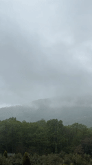 Dense fog shrouds Adlerskiy Russia reducing visibility May 4