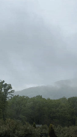 Dense fog shrouds Adlerskiy Russia reducing visibility May 4