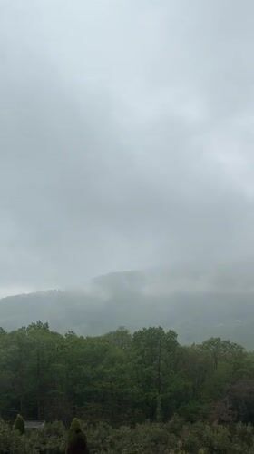 Dense fog shrouds Adlerskiy Russia reducing visibility May 4