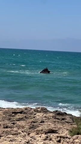 The video shows a jagged rock formation emerging from the turquoise ocean. The water is choppy with waves breaking against the rocks. The sky is clear and blue. In the foreground, there is a rocky shoreline with some sparse vegetation. The camera zooms in on the rock formation, revealing its rough texture and dark color.